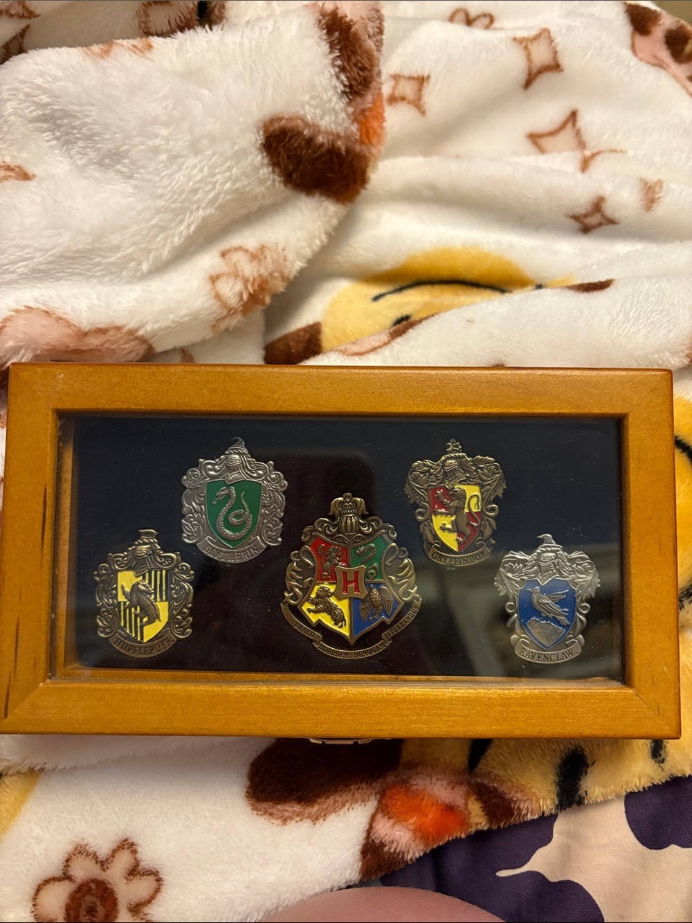 Harry Potter Boxed Pin Set